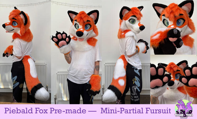 Fox Fox